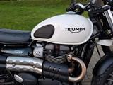 Triumph Street Scrambler 900 - sehr gepflegt m. Garantie - TRIUMPH SCRAMBLER