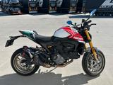 Ducati Monster 30 Anniversario - DUCATI MONSTER 30 ANNIVERSARIO