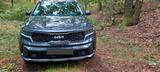 Kia Sorento 1.6 T-GDI Hybrid AWD Platinum Auto P... - Kia Sorento mit Benzin-Antrieb