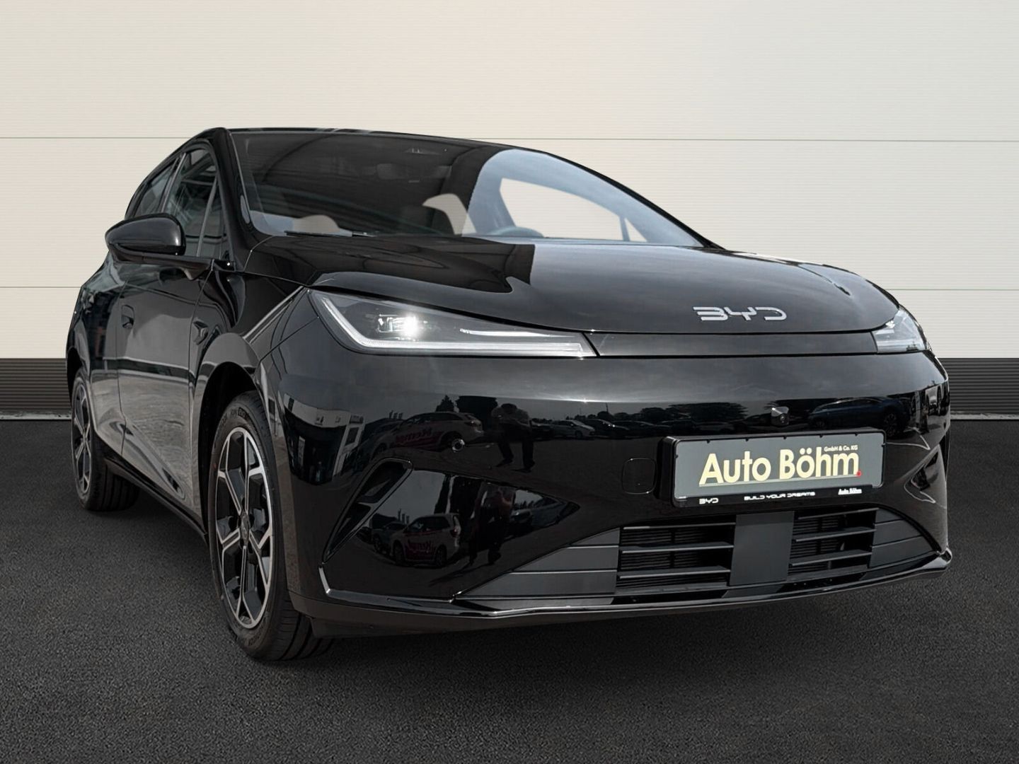BYD DOLPHIN