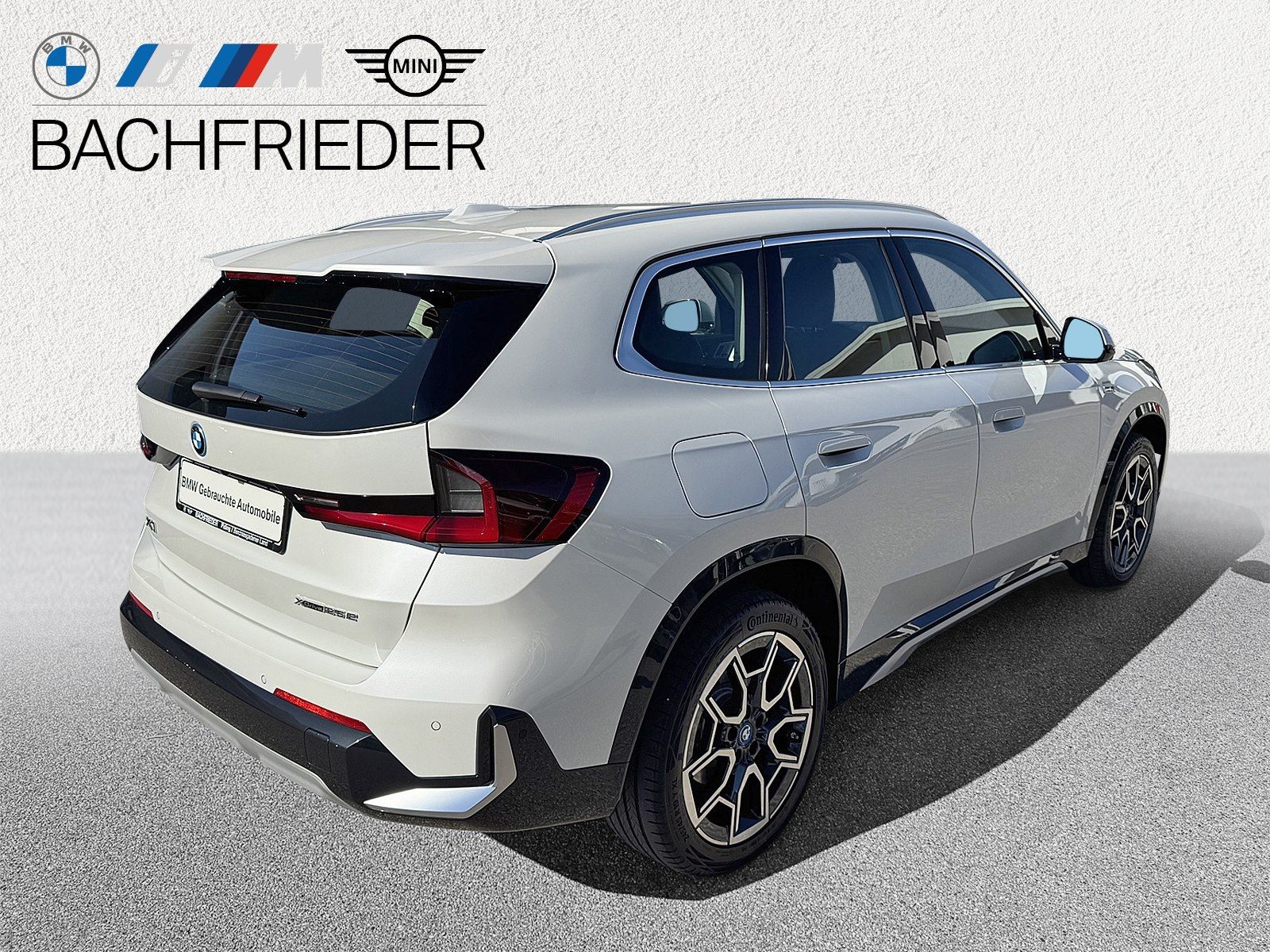 BMW X1 xDrive25e xLine Head-Up HK HiFi DAB LED RFK imagem 2
