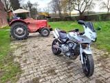 Honda HONDA CB600 FS - Hornet 95 o. 48PS TOP Zustand - HONDA CB 600 F HORNET