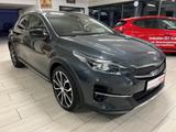 Kia XCeed Platinum Edition Navi DAB Temp PDC - Kia XCeed Gebrauchtwagen
