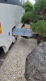 Morelo Home 82 LS  2018 Hubbett, Retarder 51.500 km - Morelo Home