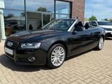 Audi A5 Cabriolet 2.0 TFSI *Leder*Xenon*RFK* - Audi A5 Gebrauchtwagen in Bremen