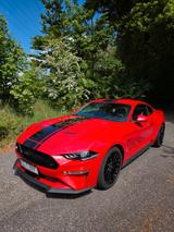 Ford Mustang GT/Motor kam komplett NEU von Ford/Grail
