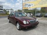 Mercedes-Benz E230 Classic W210 S-Dach Automatik Tüv 08.2026 - Mercedes-Benz: C W202