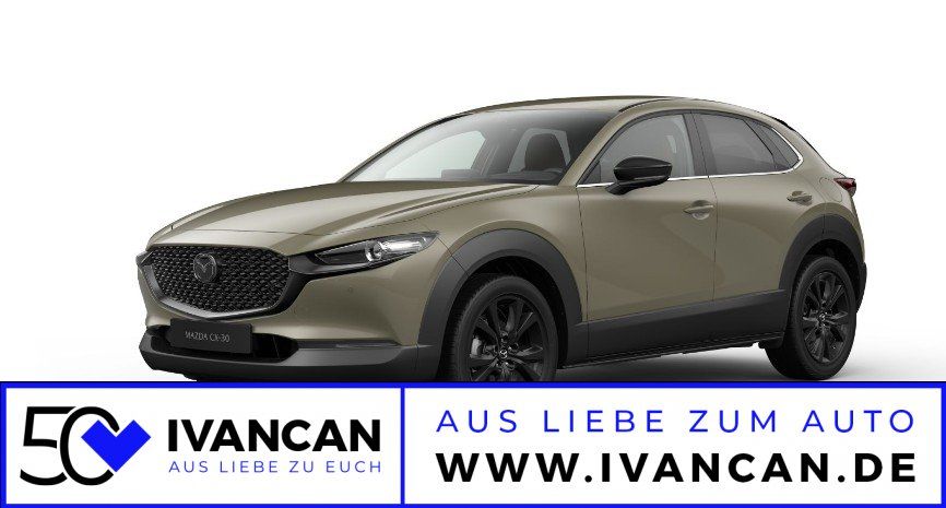 Fahrzeugabbildung Mazda CX-30 2.5i 140PS A/T Nagisa