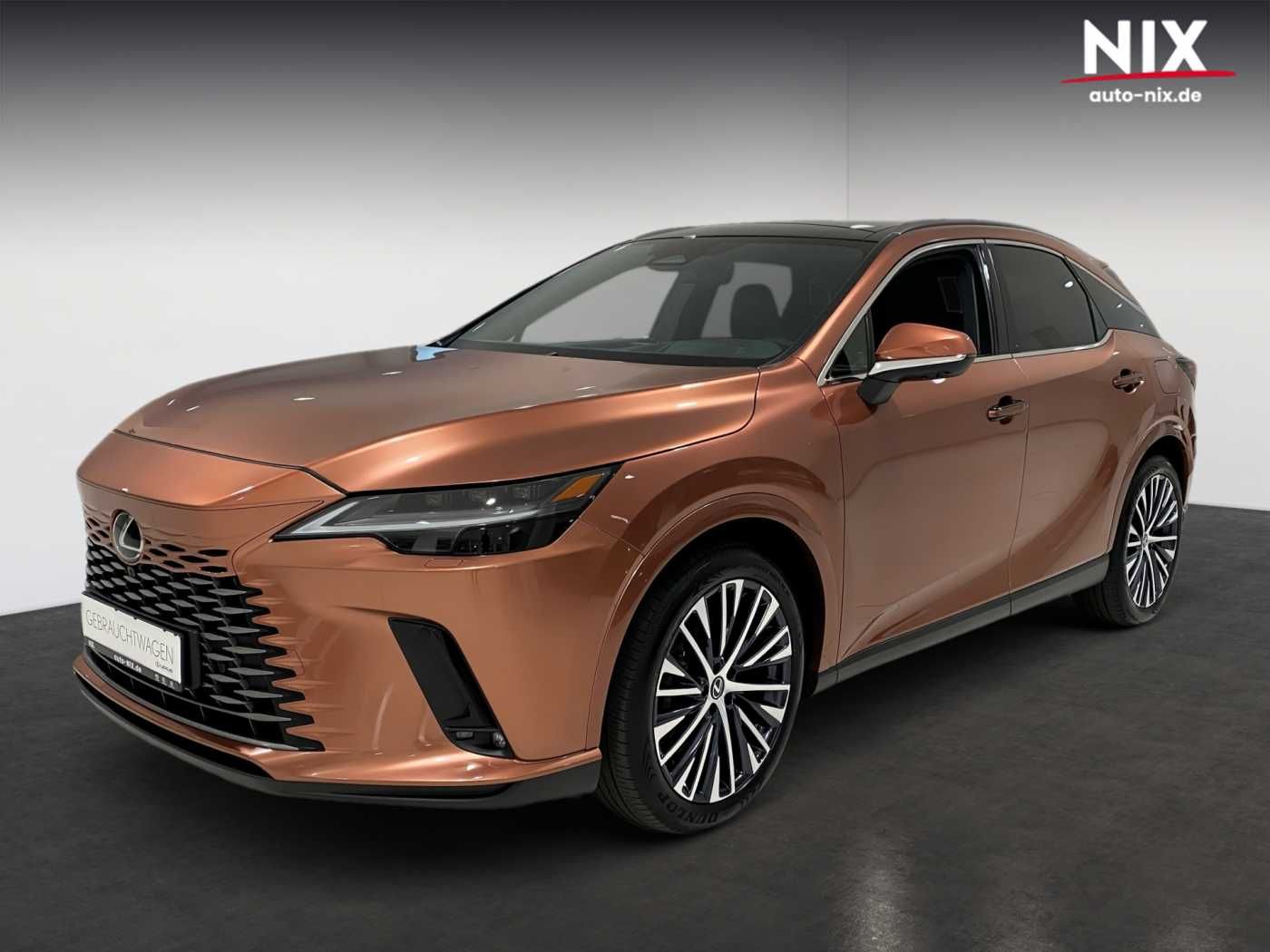 Lexus Lexus RX 450h + Executive Line PANO 360°-KAMERA