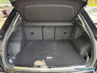 Audi Q3 - Vorschau Bild 6