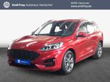 Ford Kuga 2.0 EcoBlue Aut. ST-LINE - Ford Kuga Gebrauchtwagen in Hannover