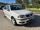 Volkswagen VOLKSWAGEN Polo 1.4 cat 5 porte Comfortline - Volkswagen Polo aus 2000: 1.4