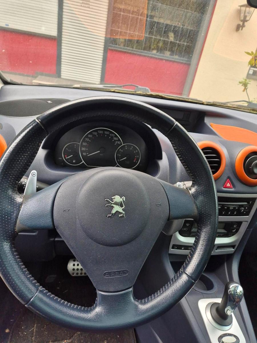 Peugeot 1007 2006 — photo 11