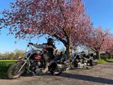 Harley-Davidson HD XL 1200 - HARLEY-DAVIDSON 1997