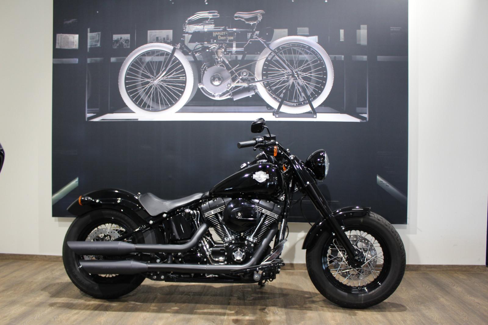 Harley-Davidson Slim S FLSS 110 Kess Tech / Seitlicher Kennzeich