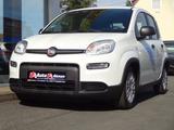 Fiat Panda Base Hybrid Benzin Euro 6 - Fiat Panda: Eu