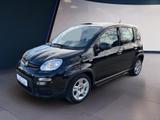 Fiat Panda 1.0 Mild Hybrid Base 51 kW (69 PS), Sch... - Fiat Panda: 5.5