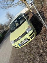 Fiat Panda 169  1,1 grün, seltene Farbe, c... - Fiat Panda in Wiesbaden
