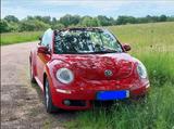 Volkswagen New Beetle 1.9 TDI DPF Freestyle Cabriolet F... - Volkswagen New Beetle: Freestyle