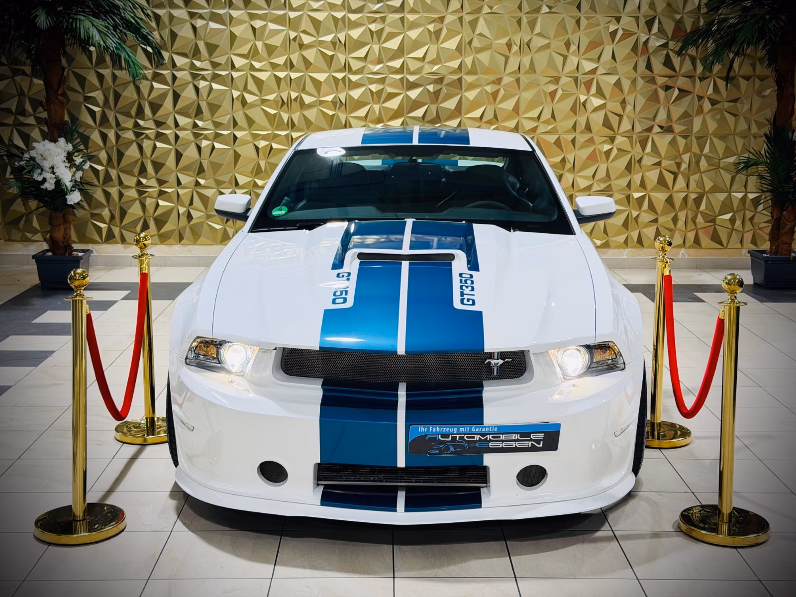 Ford Mustang Shelby American GT 350|624PS|CSM|SAMMLER