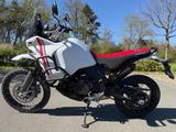 Ducati Desert X (2024 / EZ 2025) - Neuwertig 1.400km - DUCATI X DESERT