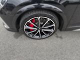 Audi RS Q3 Sportback 2.5 TFSI quattro MATRIX+MMI PLUS - Audi RSQ3 Gebrauchtwagen