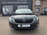 Skoda Octavia 2.0 L&K 4x4 TÜV Neu/Scheckh./LED/Pano. - Skoda Octavia mit Benzin-Antrieb: Allradantrieb, Kombi, 2.0