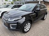 Land Rover Range Rover Evoque Pure - Land Rover Range Rover Evoque in Bielefeld