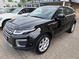 Land Rover Range Rover Evoque Pure - Land Rover in Bielefeld