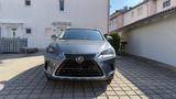 Lexus NX 300 300h  - scheckheftgepflegte Lexus NX-Serie
