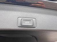 CUPRA Terramar 1.5 eTSI DSG PANO AHK KAM 19
