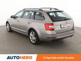 Skoda Octavia 1.5 TSI ACT Style *CARPLAY*LED*TEMPO*PDC - Skoda Gebrauchtwagen in Offenbach