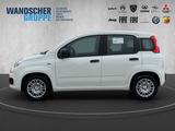 Fiat Panda MY25 Hybrid 1.0 GSE - Fiat Panda Gebrauchtwagen in Bremen