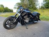 Harley-Davidson V-Rod Muscle (VRSCF) - HARLEY-DAVIDSON GEBRAUCHT V ROD