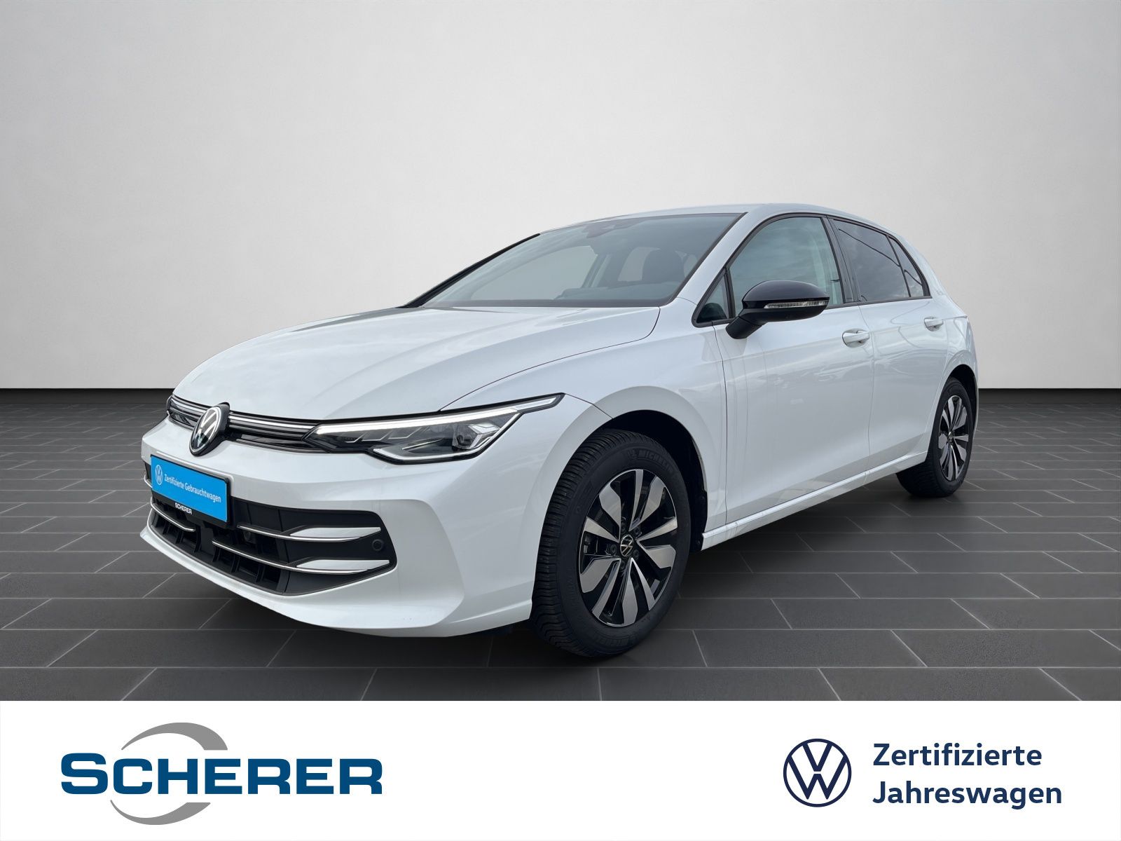 Volkswagen Golf VIII GOAL 2.0 TDI DSG LED+ NAVI RFK AHK ACC