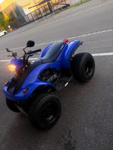 E-Ton Yxl - QUAD VON 126 BIS 250 CCM