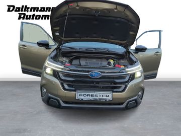 Bild 9 Subaru Forester AWD Hybrid Kamera ACC Leder SHD HIFI