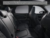 Audi SQ5 - Vorschau Bild 12