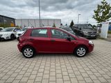 Fiat Punto Evo Active / EURO 5 - Fiat Punto Evo mit Benzin-Antrieb: Kleinwagen