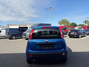 Bild 4 Fiat Panda 1.0 Mild Hybrid DAB Spurhalteass. Verkehrs