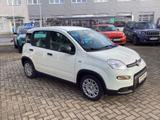 Fiat Panda Pandina 1.0 GSE 52kW Hybrid Klima, DAB - Fiat Panda Gebrauchtwagen in Hannover