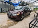 Honda Odyssey RL5  7.Sitzer - Honda Odyssey