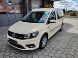 Volkswagen Caddy Maxi RollstuhlTaxi / 7Sitzer / DSG / 