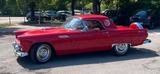 Ford Thunderbird - Ford Thunderbird mit Benzin-Antrieb: Cabrio