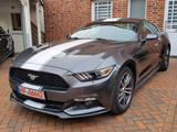 Ford Mustang 2.3 Coupe Aut-+Keyless+Kamera+Bi-Xenon+ - Ford Mustang