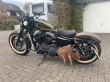 Harley-Davidson Sportster XL 1200 Forty-Eight - HARLEY-DAVIDSON 2011 FORTY EIGHT
