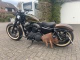 Harley-Davidson Sportster XL 1200 Forty-Eight - Angebote entsprechen deinen Suchkriterien