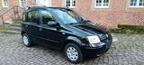 Fiat Zuverlässiger und gepflegter Fiat Pandina ... - Fiat Panda: Van