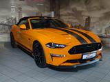 Ford Mustang 5.0 GT V8 Cabrio 55 Years Edition - Ford Mustang: Edition