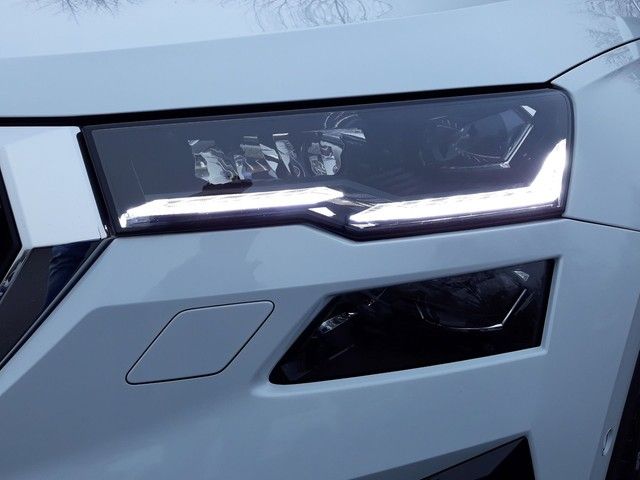 Fahrzeugabbildung SKODA Karoq 2.0TDI DSG Tour +AHK+NAVI+PDC+